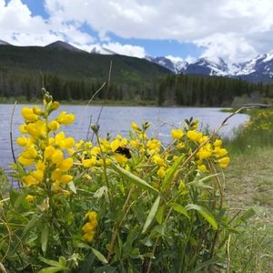 Meet your Posher, Aerielle